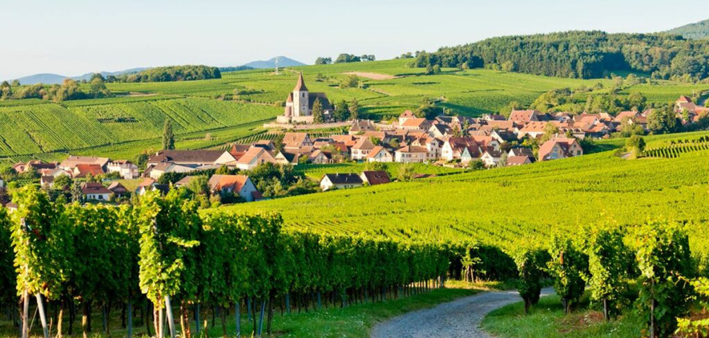 Glad Hatter Brand Banner