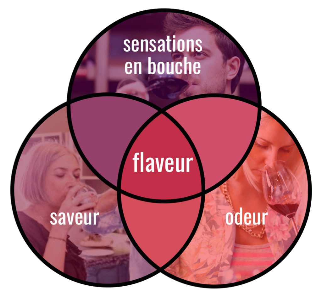craft-and-cork-French-flavour-venn-diagram