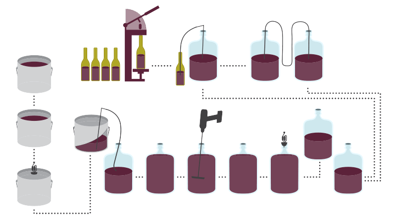 Les étapes de vinification du vin rouge