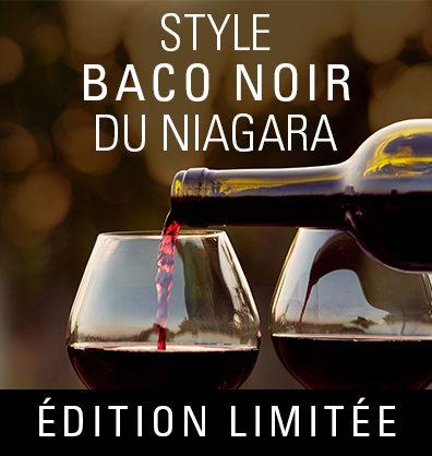 Cru International Niagara Baco Noir Style