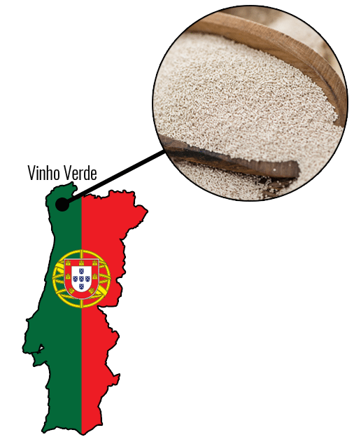 QA23-Yeast-Region