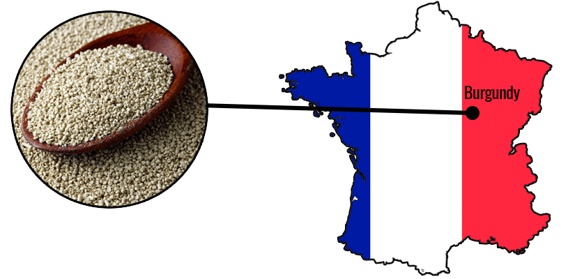 Yeast-Regions-RQ25