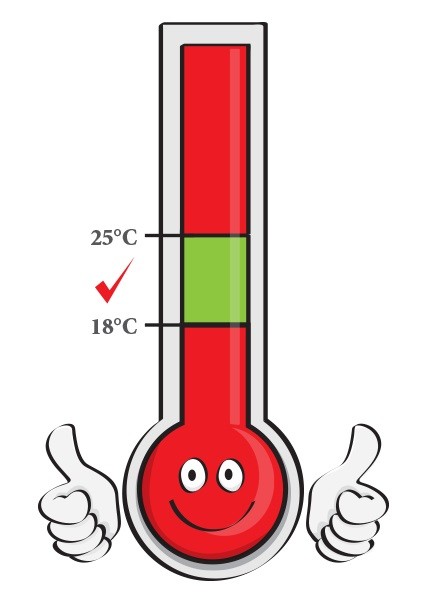 Thermometer